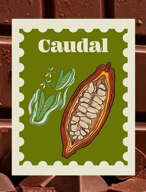 Caudal Chocolate illustrated stamp with the name Caudal, an open Ecuadorian cacao pod and green cacao leaves.